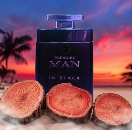 Paradise Man In black parfume 100ml by ESSENCIA DE FLORES